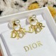 DIOR  accessories  earrings