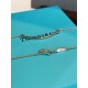 Tiffany accessories  necklace 
