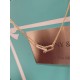 Tiffany accessories  necklace ( 2 colors )