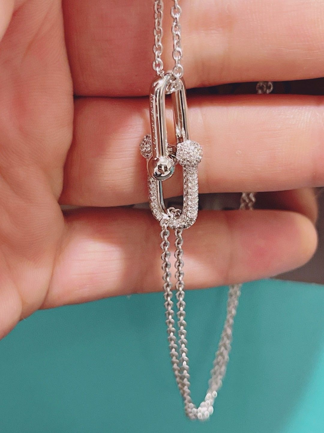 Tiffany accessories  necklace ( 2 colors )