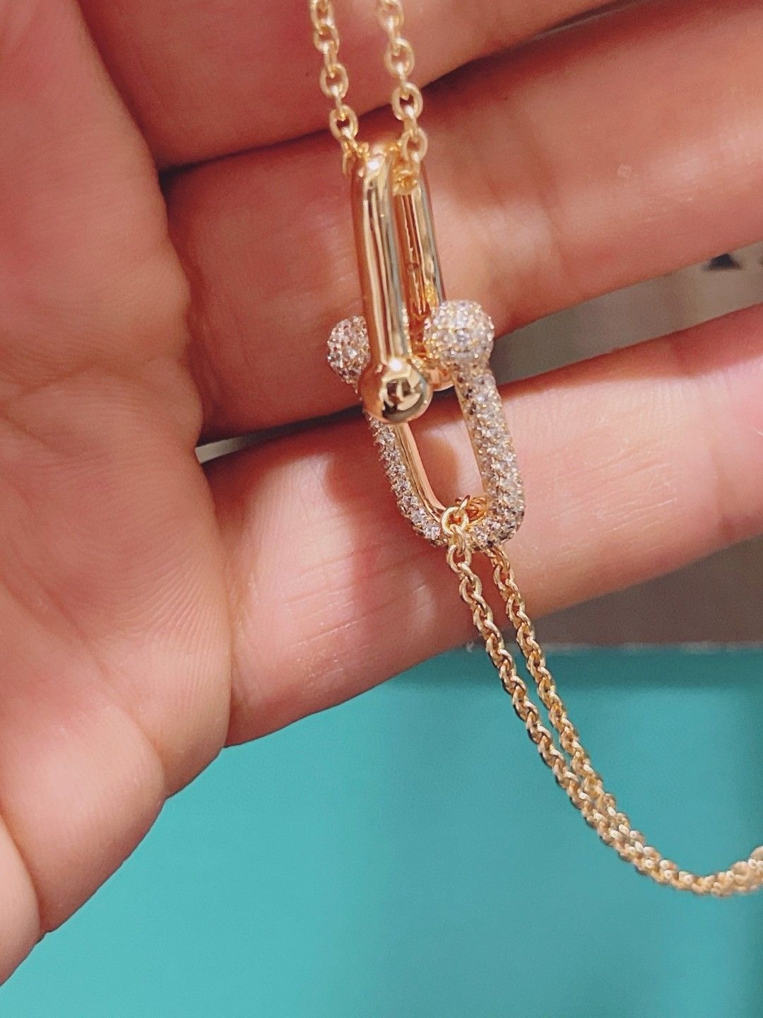 Tiffany accessories  necklace ( 2 colors )