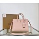 Burberry  Mini Frances Bag（4  colors）
