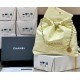 CHANEL 22 BAG Shiny Calfskin （3 colors）
