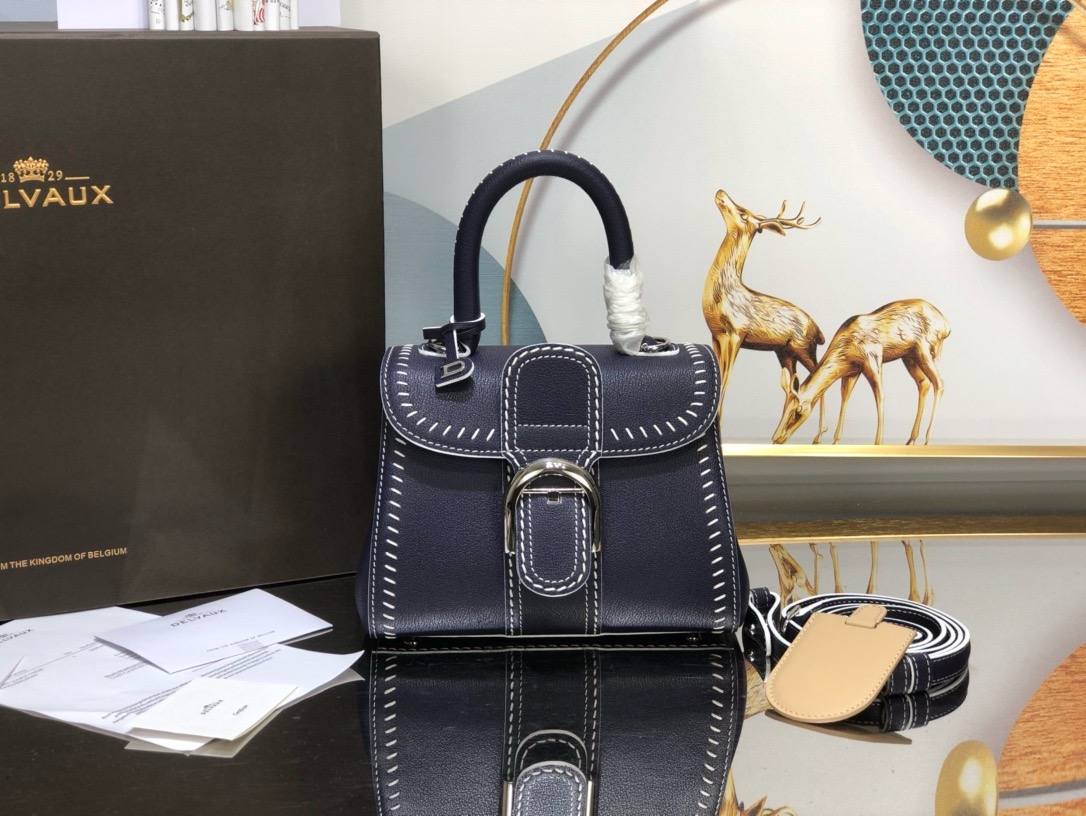Delvaux  Brillant PM Surpiqué in Rodeo Calf（8 colors）