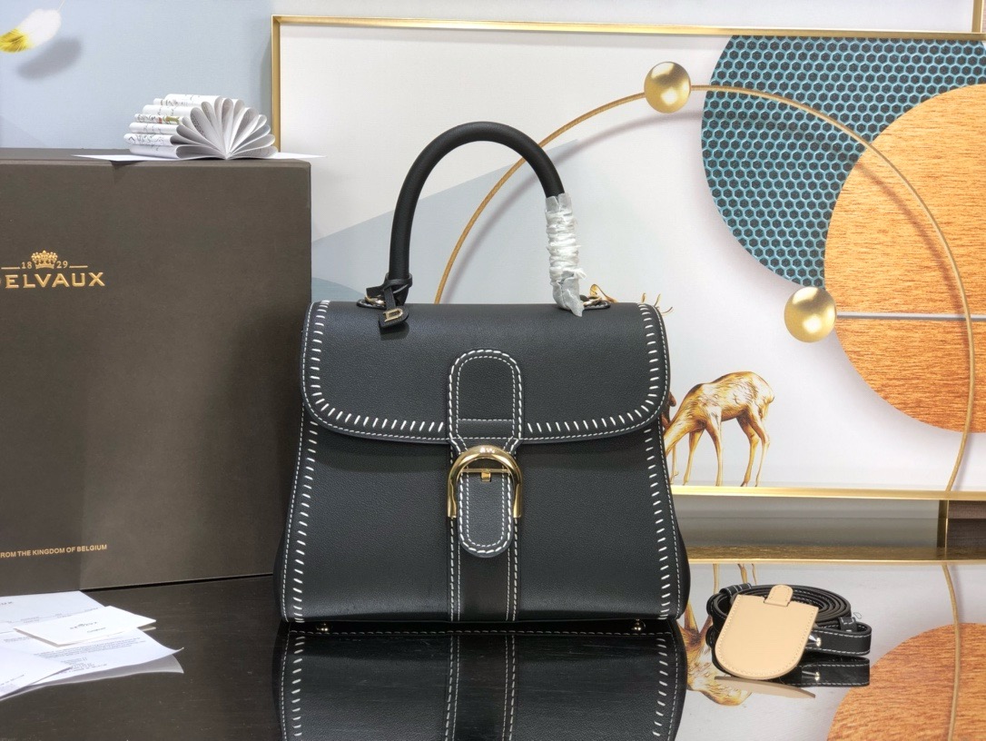 Delvaux  Brillant PM Surpiqué in Rodeo Calf（8 colors）