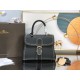 Delvaux  Brillant PM Surpiqué in Rodeo Calf（8 colors）