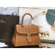 Delvaux  Brillant PM Surpiqué in Rodeo Calf（8 colors）