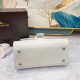 Delvaux  Brillant MM in Box Calf in  white 