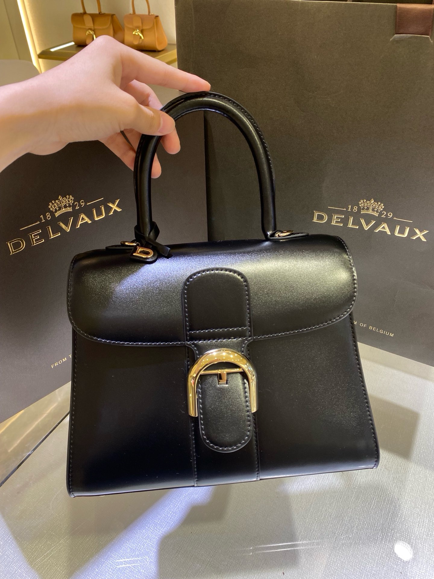 Delvaux  Brillant MM in Box Calf（black）