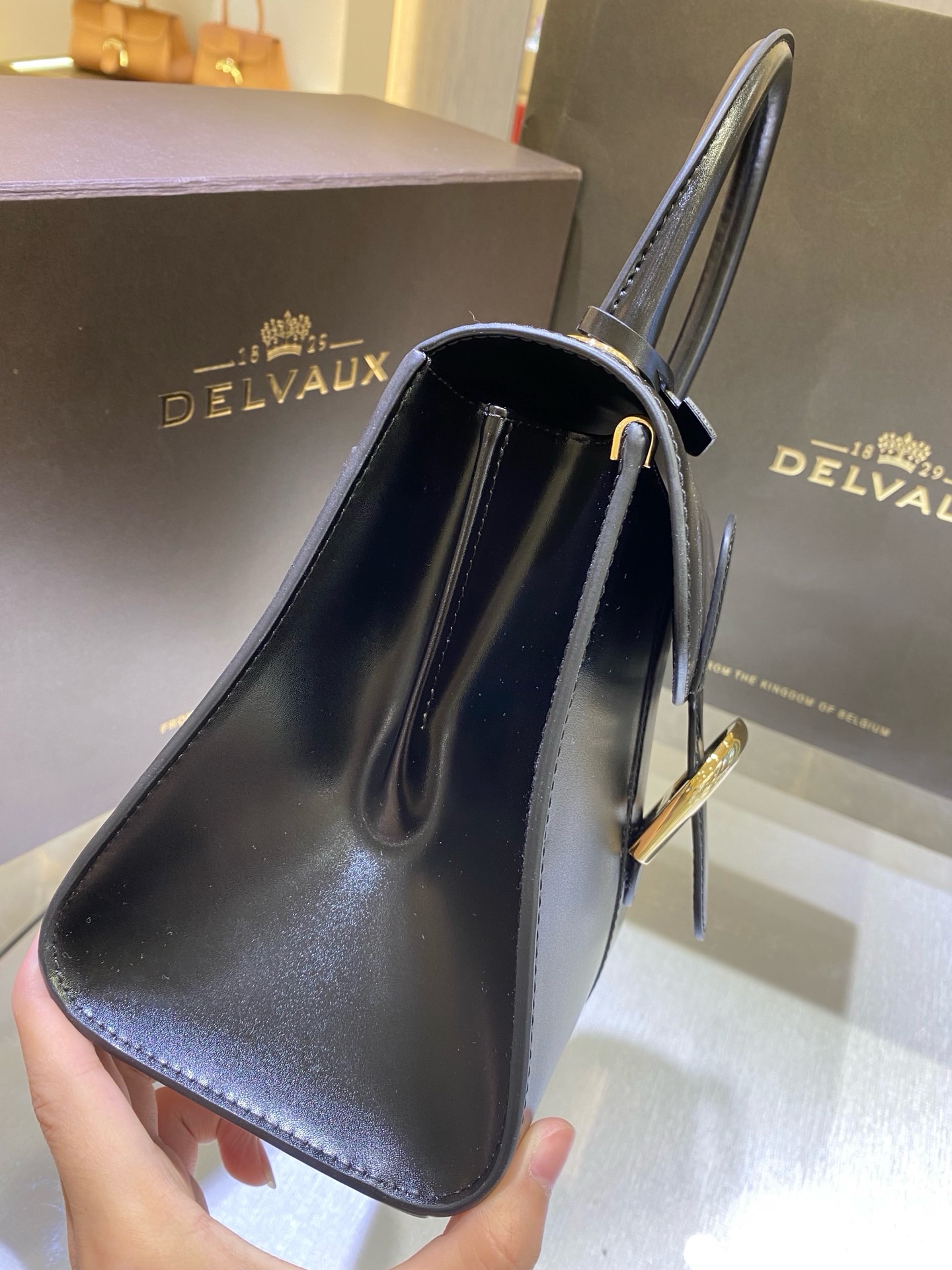 Delvaux  Brillant MM in Box Calf（black）
