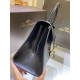 Delvaux  Brillant MM in Box Calf（black）