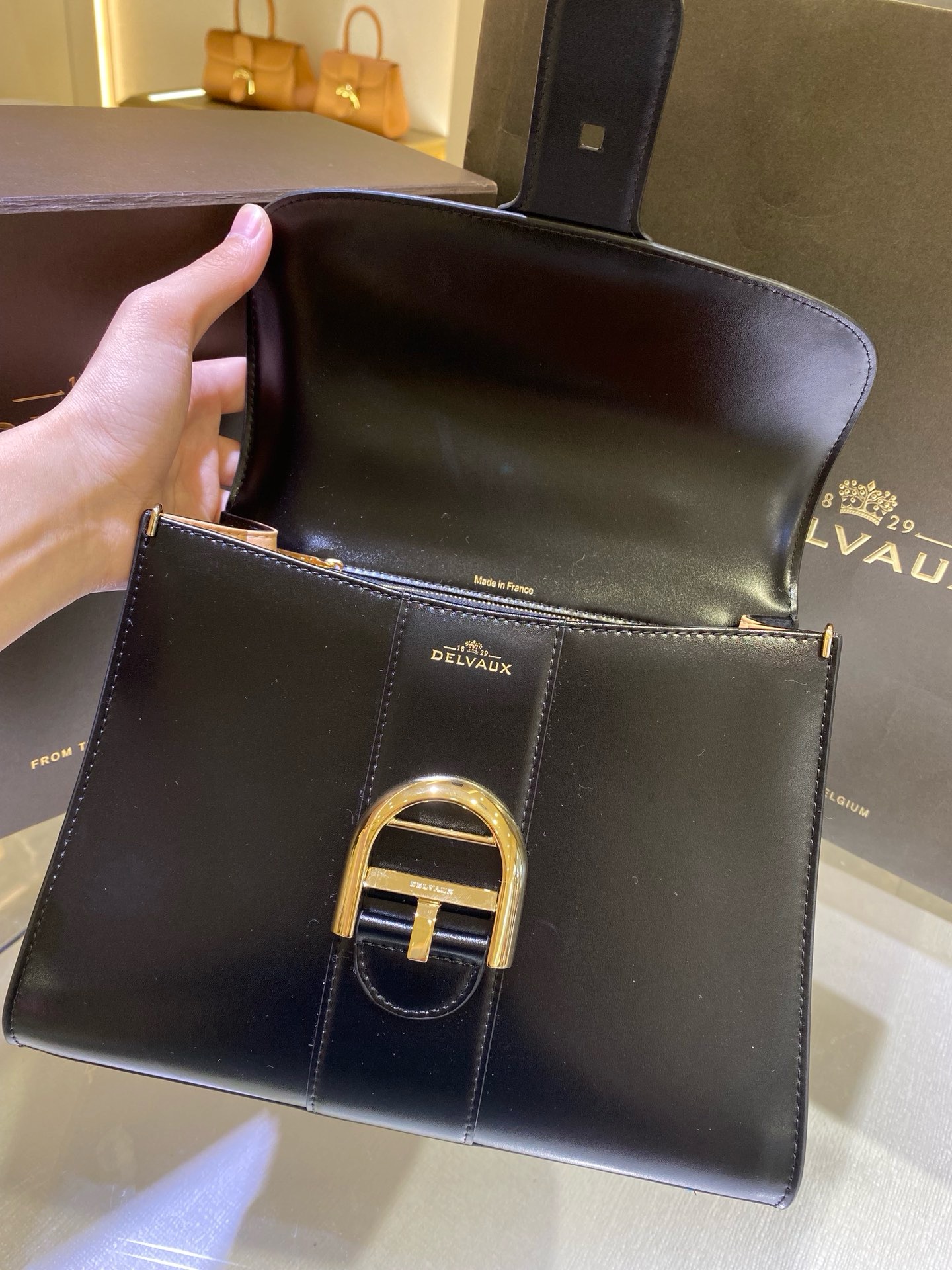 Delvaux  Brillant MM in Box Calf（black）