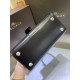 Delvaux  Brillant MM in Box Calf（black）