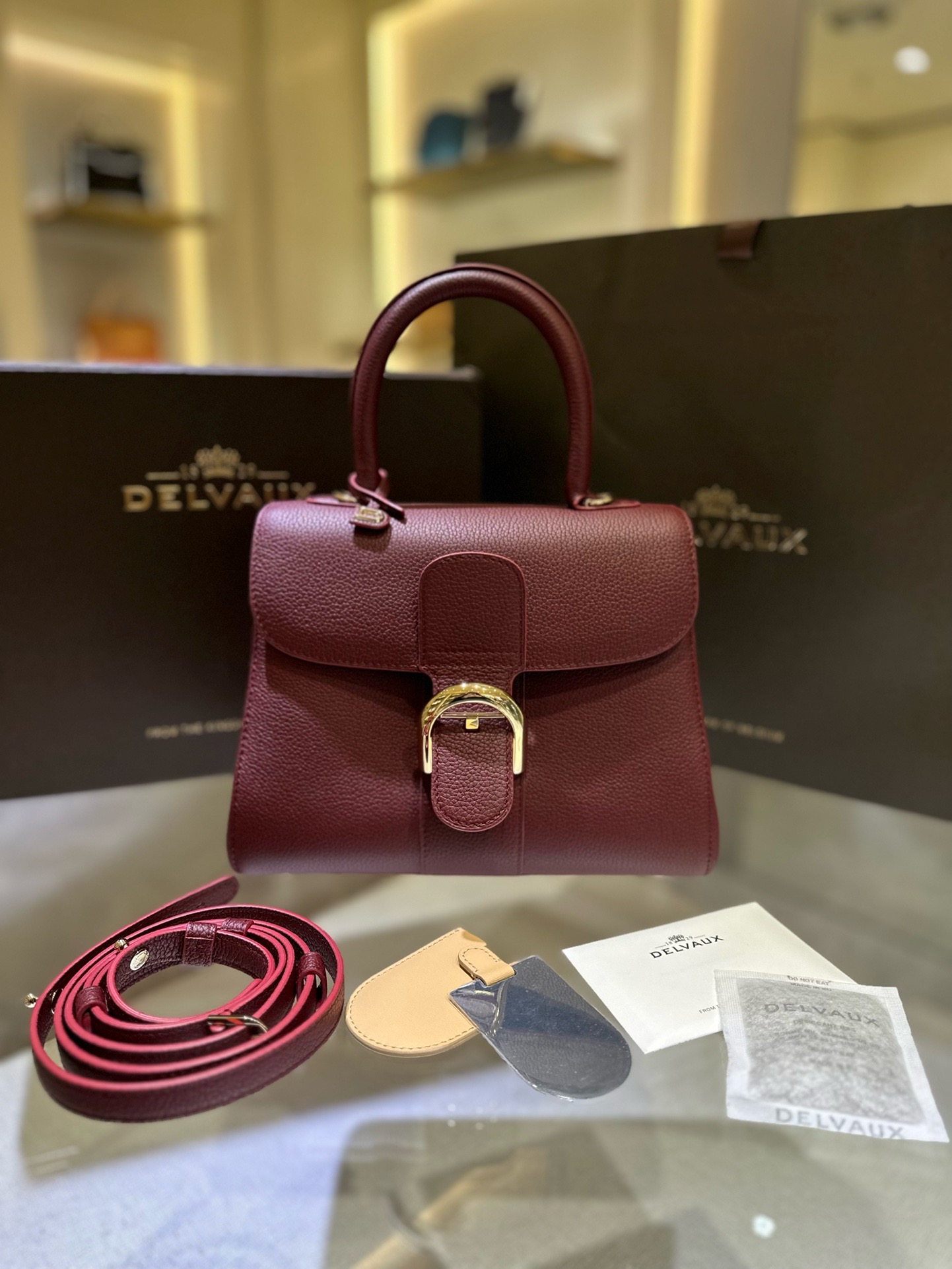 Delvaux  Brillant Brillant Mini in Rodeo Calf（4 colors）