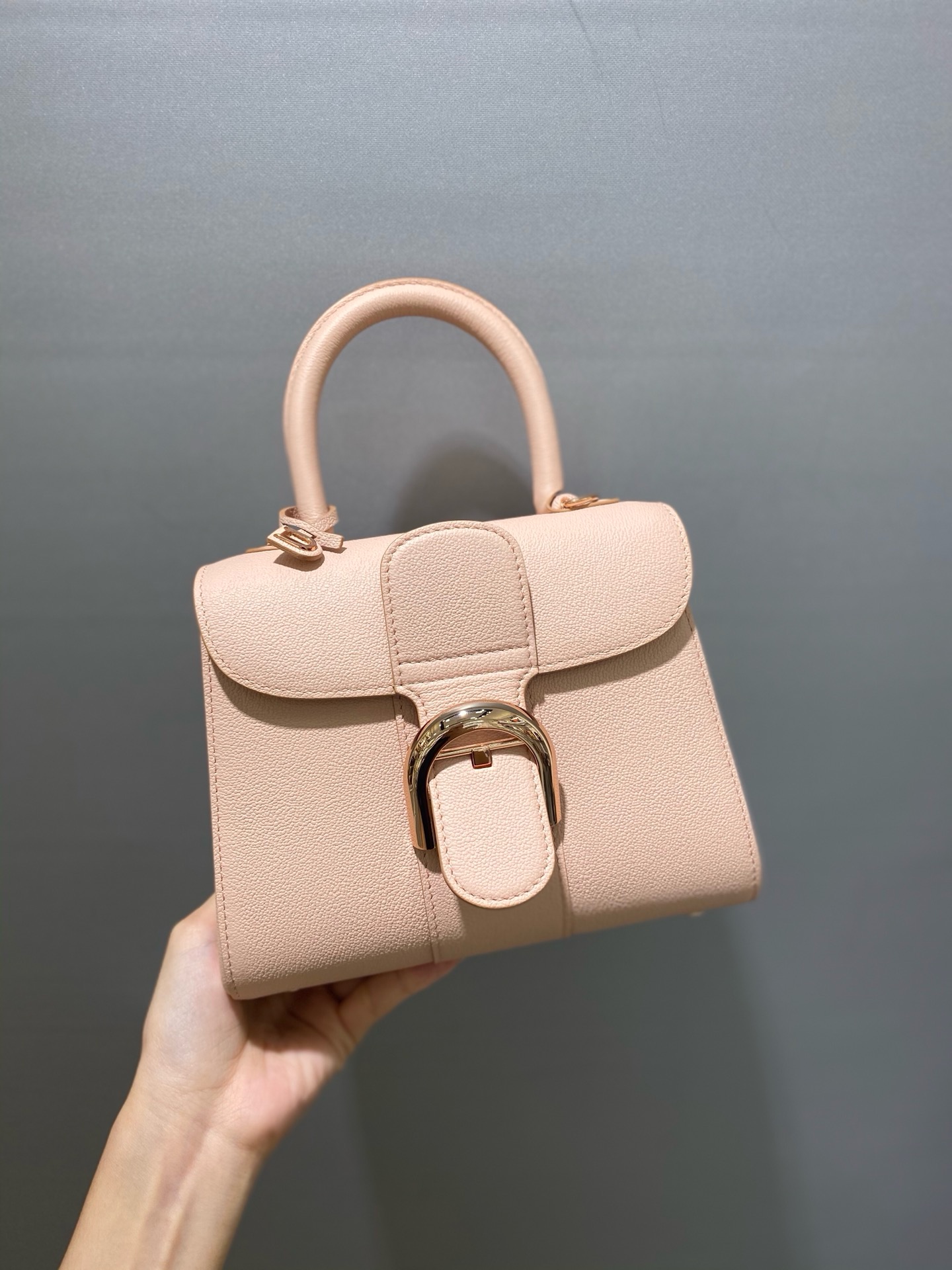 Delvaux  Brillant Brillant Mini in Rodeo Calf（4 colors）