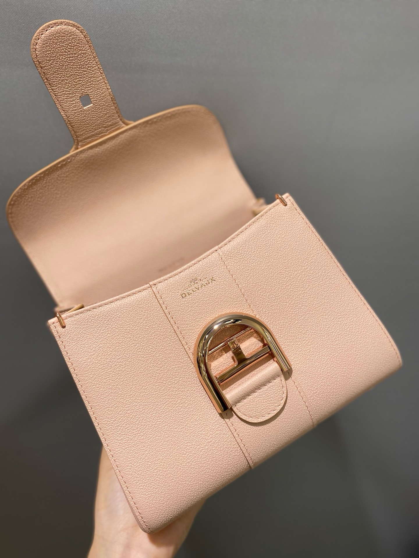 Delvaux  Brillant Brillant Mini in Rodeo Calf（4 colors）