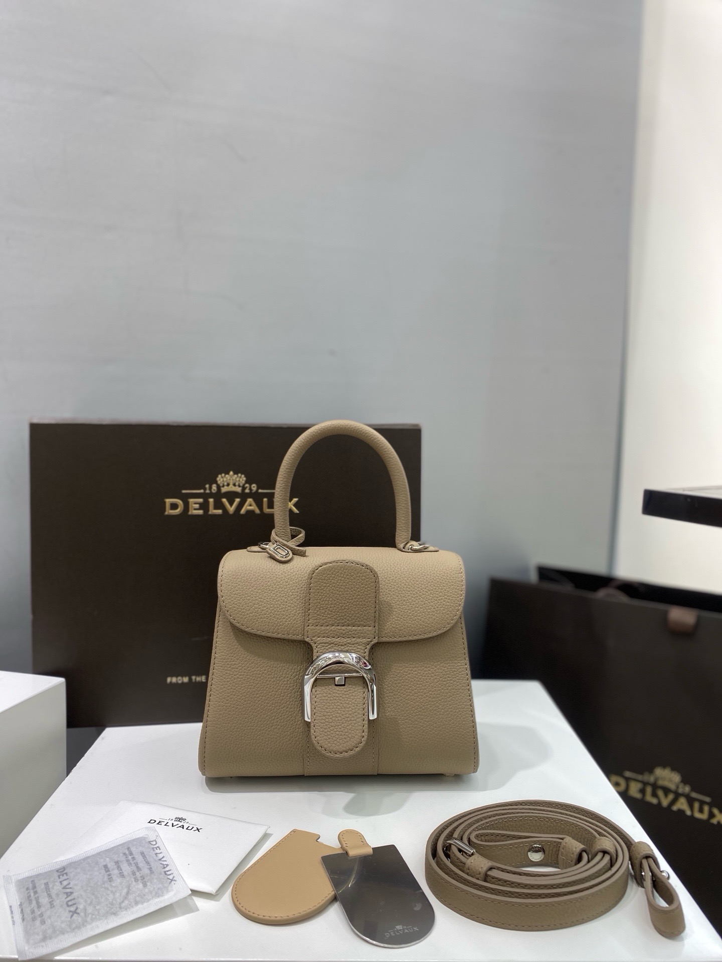 Delvaux  Brillant Mini in Rodeo Calf（4 colors）