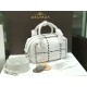 Delvaux Cool Box Mini in Taurillon Soft（7 colors）