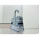 DIOR Canvas Embroidered Large Dioriviera Toile De Jouy Book Tote Beige 