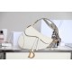 Dior Saddle Bag with Strap  Black Grained Calfskin（4 colors）