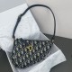 Dior Saddle Rodeo Pouch  Biscuit Goatskin（6 colors）