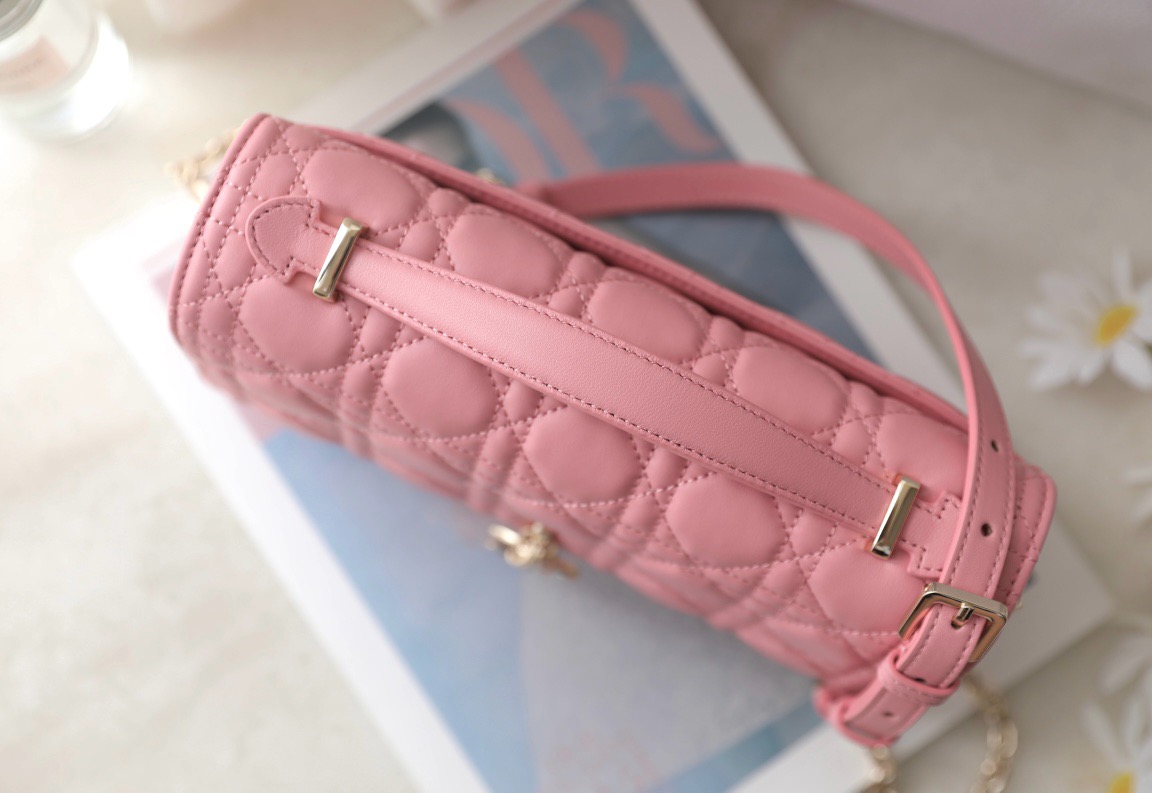 Dior  CD Signature Oval Camera Bag （4 colors）