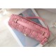 Dior  CD Signature Oval Camera Bag （4 colors）