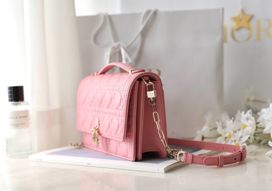 Dior  CD Signature Oval Camera Bag （4 colors）
