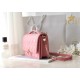 Dior  CD Signature Oval Camera Bag （4 colors）