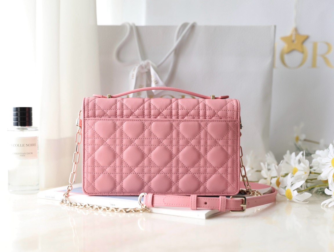 Dior  CD Signature Oval Camera Bag （4 colors）