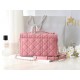 Dior  CD Signature Oval Camera Bag （4 colors）