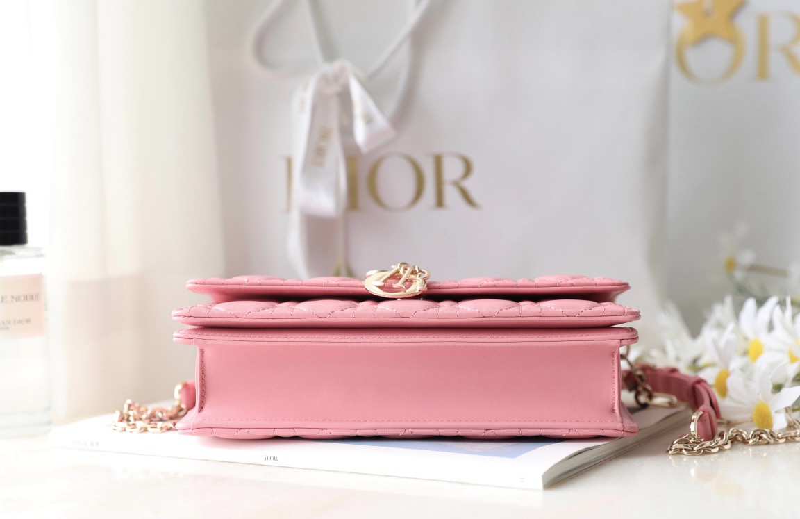 Dior  CD Signature Oval Camera Bag （4 colors）
