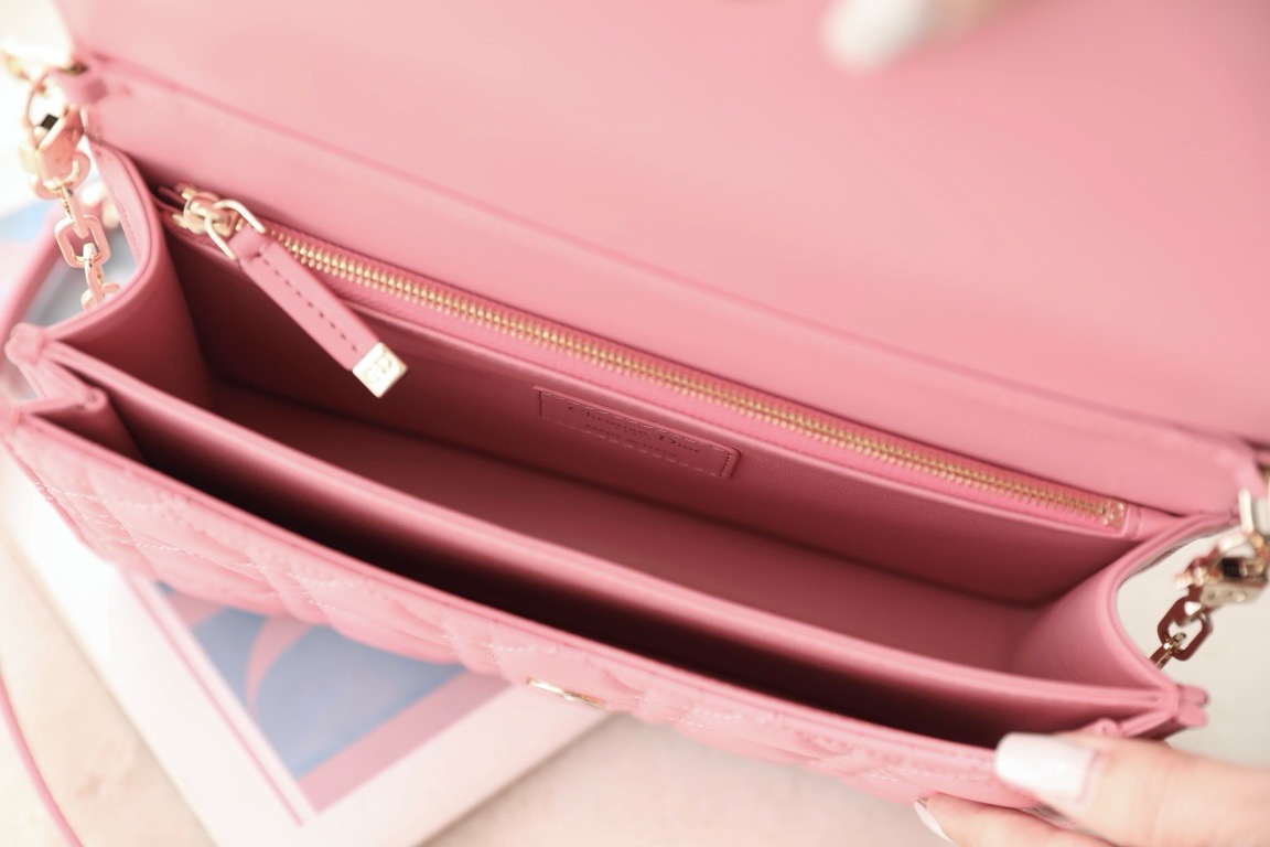 Dior  CD Signature Oval Camera Bag （4 colors）