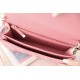 Dior  CD Signature Oval Camera Bag （4 colors）