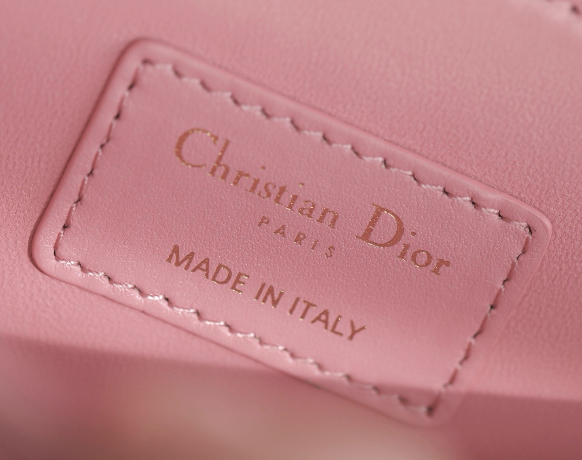 Dior  CD Signature Oval Camera Bag （4 colors）