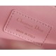Dior  CD Signature Oval Camera Bag （4 colors）