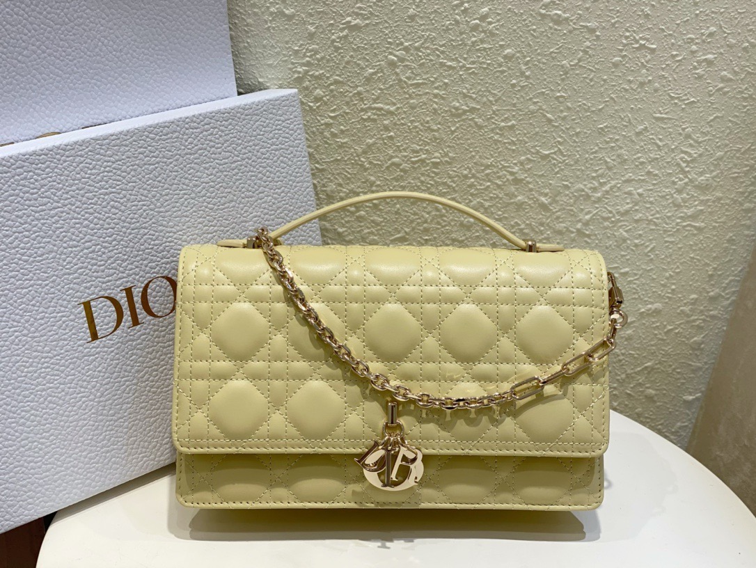 Dior  CD Signature Oval Camera Bag （4 colors）