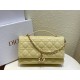 Dior  CD Signature Oval Camera Bag （4 colors）