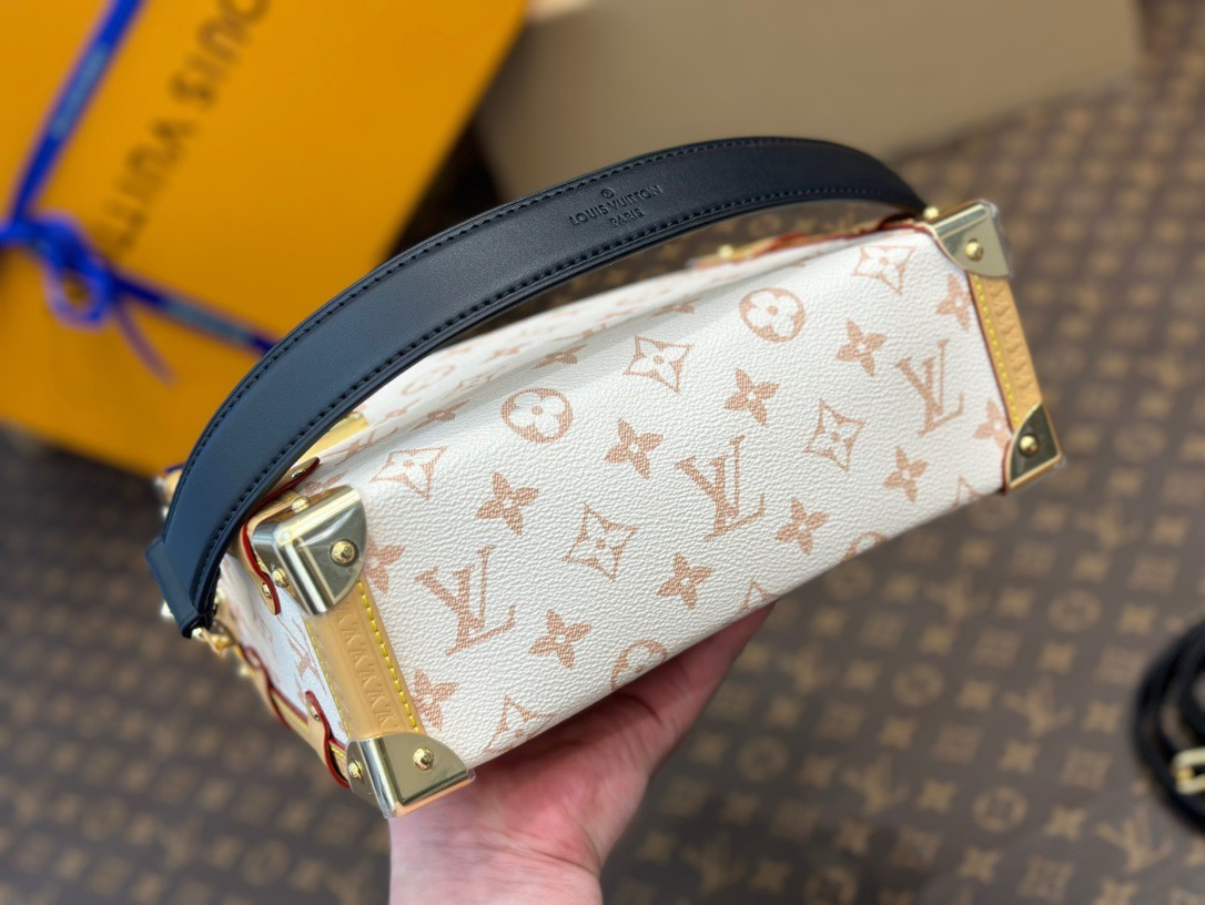 LOUIS VUITTON LV  Side Trunk MM  ( 2 colors) 