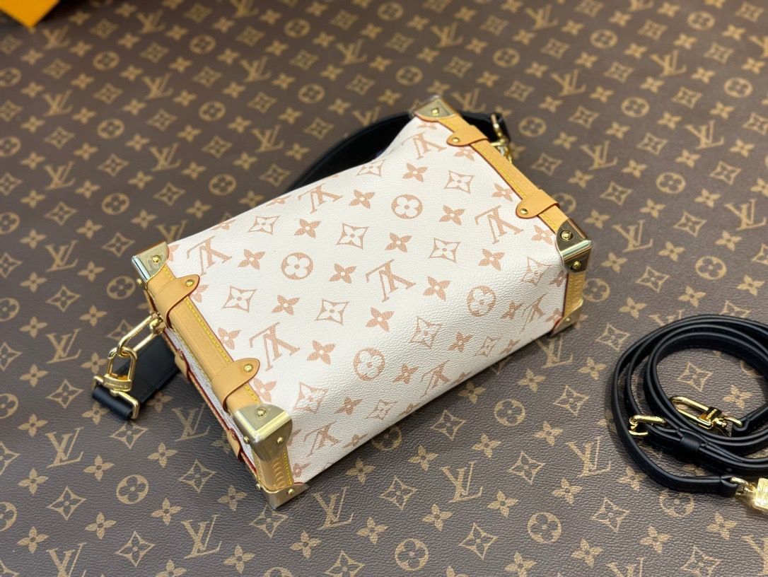 LOUIS VUITTON LV  Side Trunk MM  ( 2 colors) 