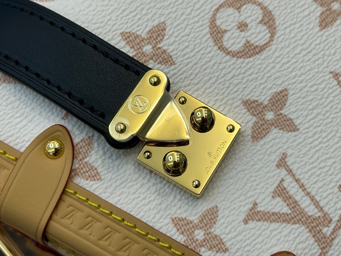 LOUIS VUITTON LV  Side Trunk MM  ( 2 colors) 