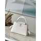 LOUIS VUITTON  LV Capucines BB  ( 2colors )