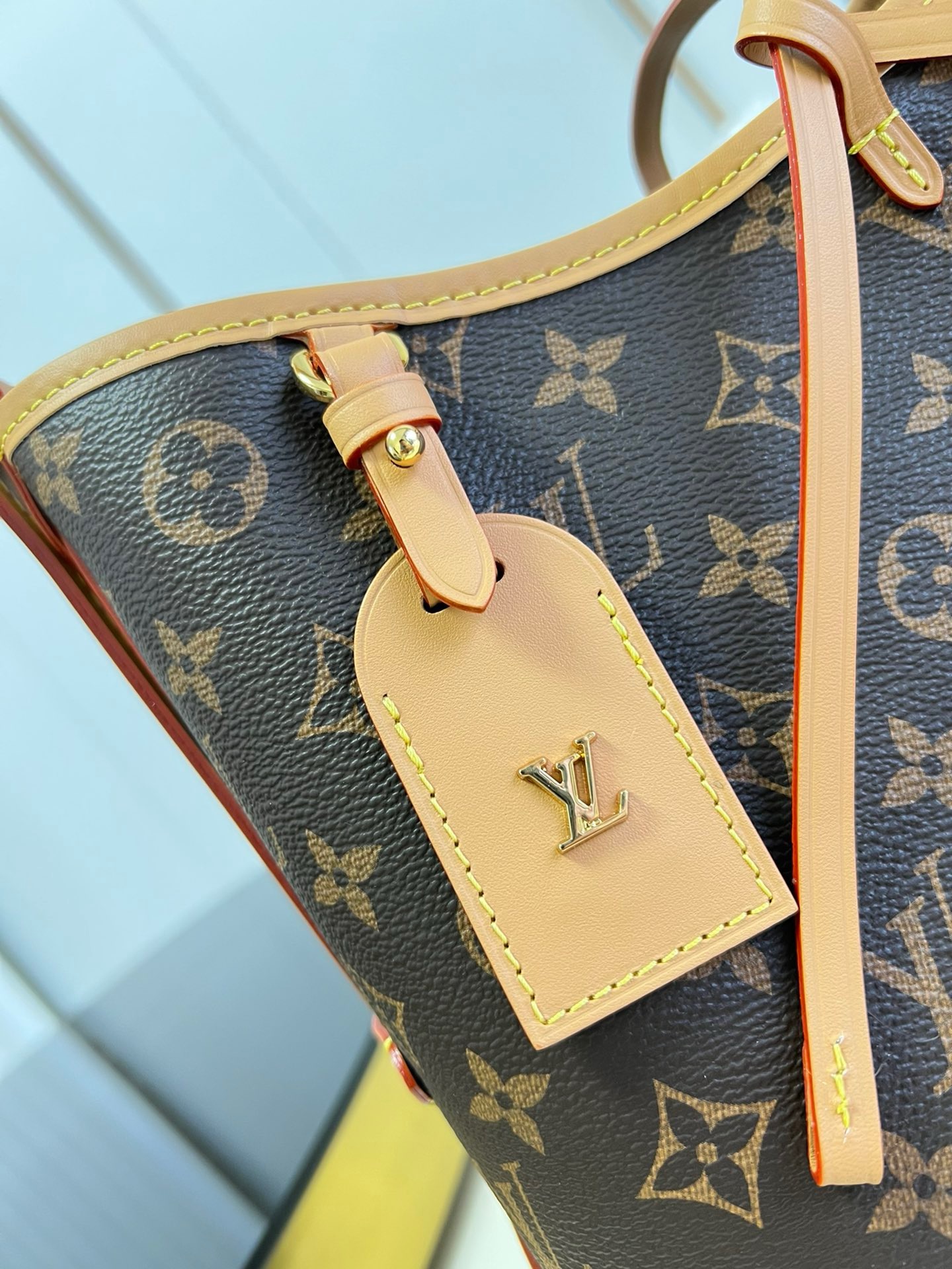LOUIS VUITTON  LV CarryAll PM ( 4 colors )