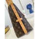 LOUIS VUITTON  LV CarryAll PM ( 4 colors )