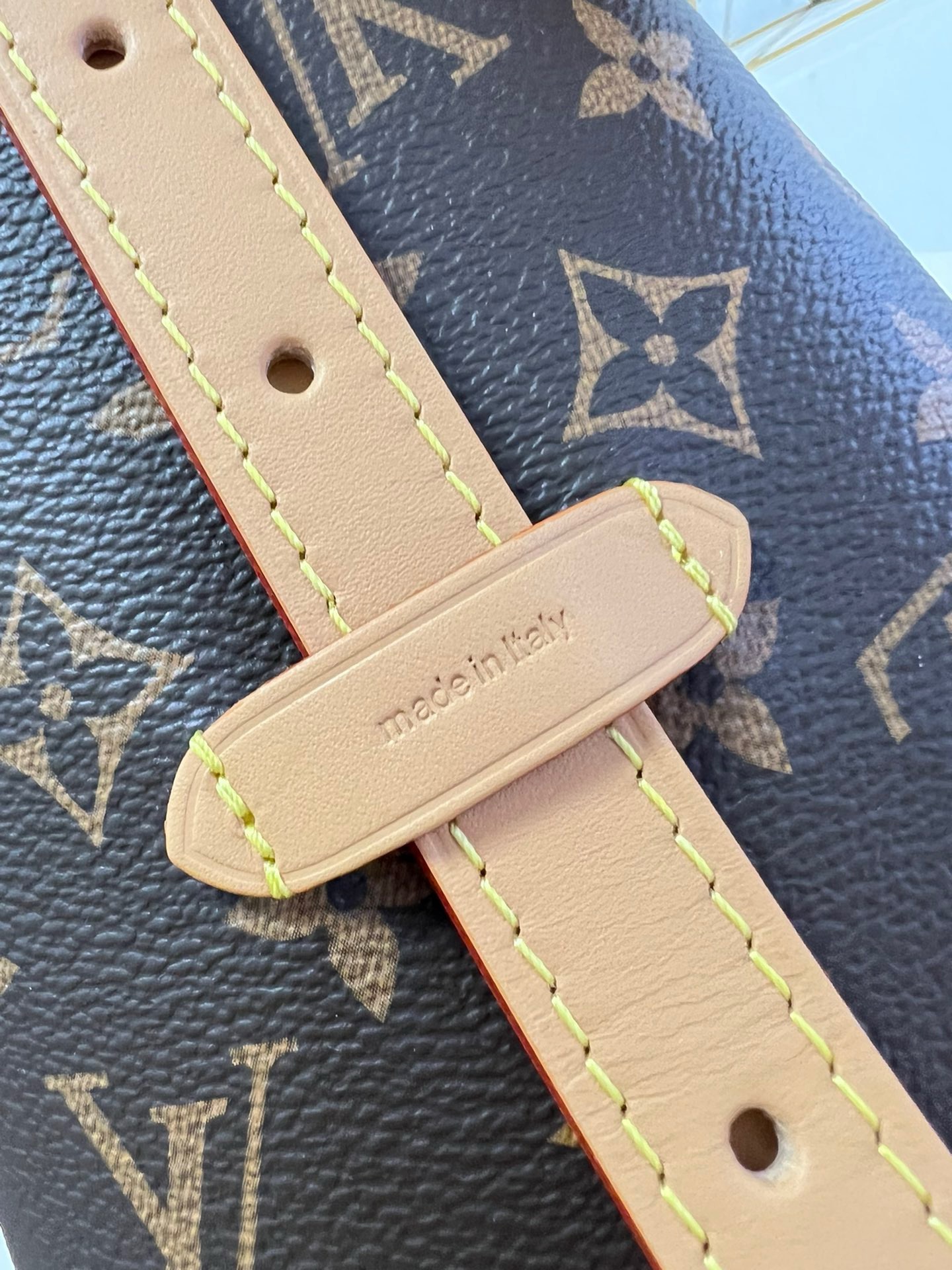 LOUIS VUITTON  LV CarryAll PM ( 4 colors )