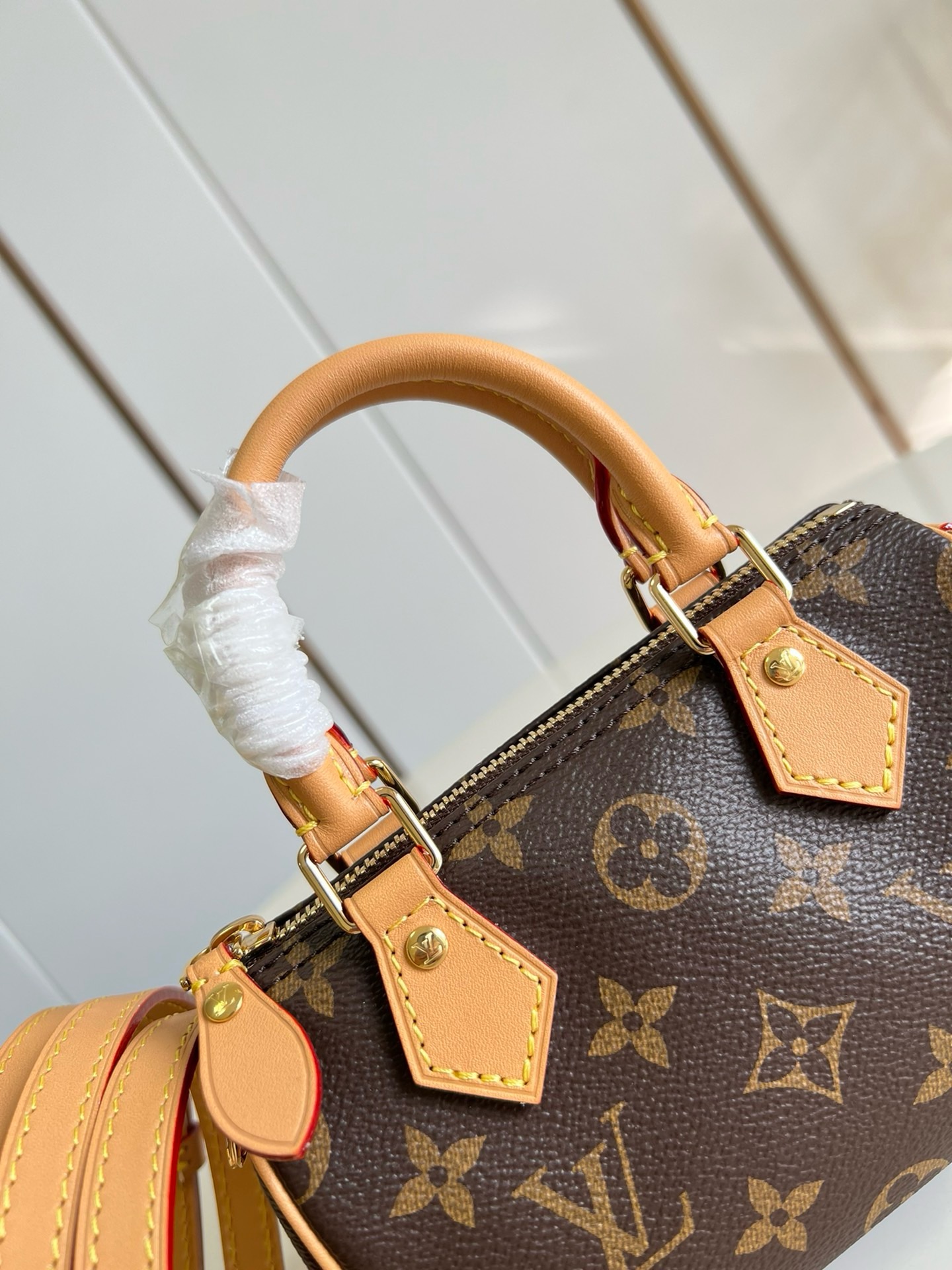 LOUIS VUITTON LV  Nano Speedy