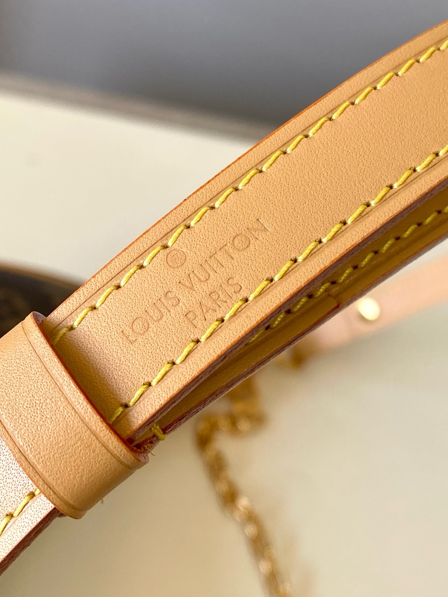 Louis Vuitton® Loop Monogram