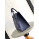 Louis Vuitton® OnTheGo MM Navy / Crème