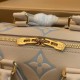 Louis Vuitton® Speedy Bandoulière 20 ( 2 colors)