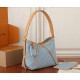 Louis Vuitton® CarryAll PM 